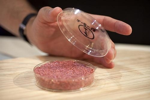 “人造肉”熱潮，未來(lái)將替代60%肉制品？