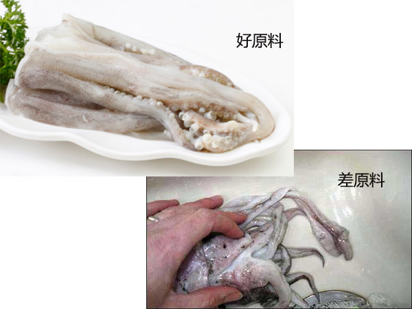 魷魚原料對(duì)比圖