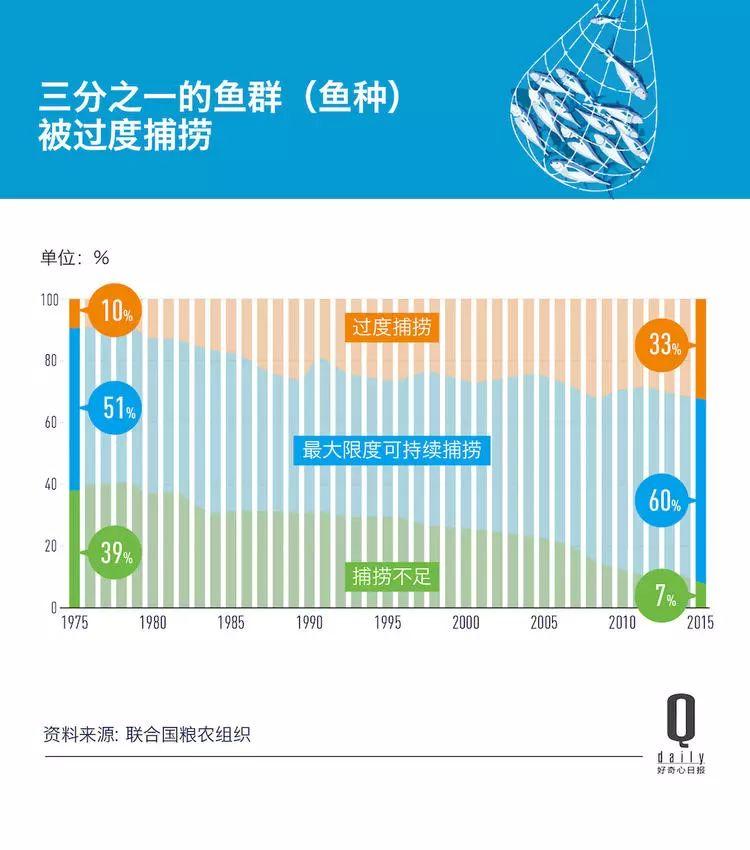 1/3 的魚類正被人過度捕撈，而同時撈上來的又有 1/3 被丟棄