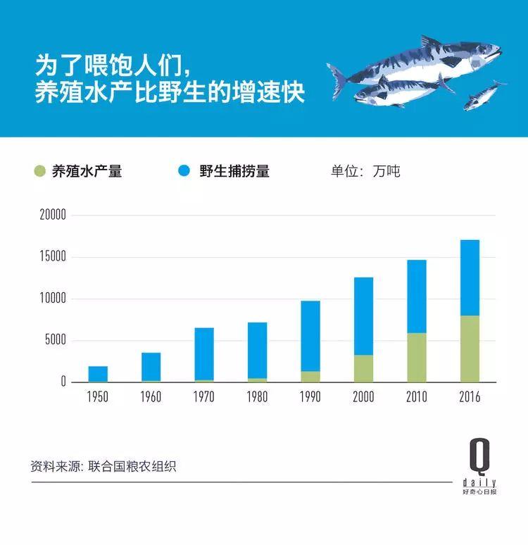 1/3 的魚類正被人過度捕撈，而同時撈上來的又有 1/3 被丟棄