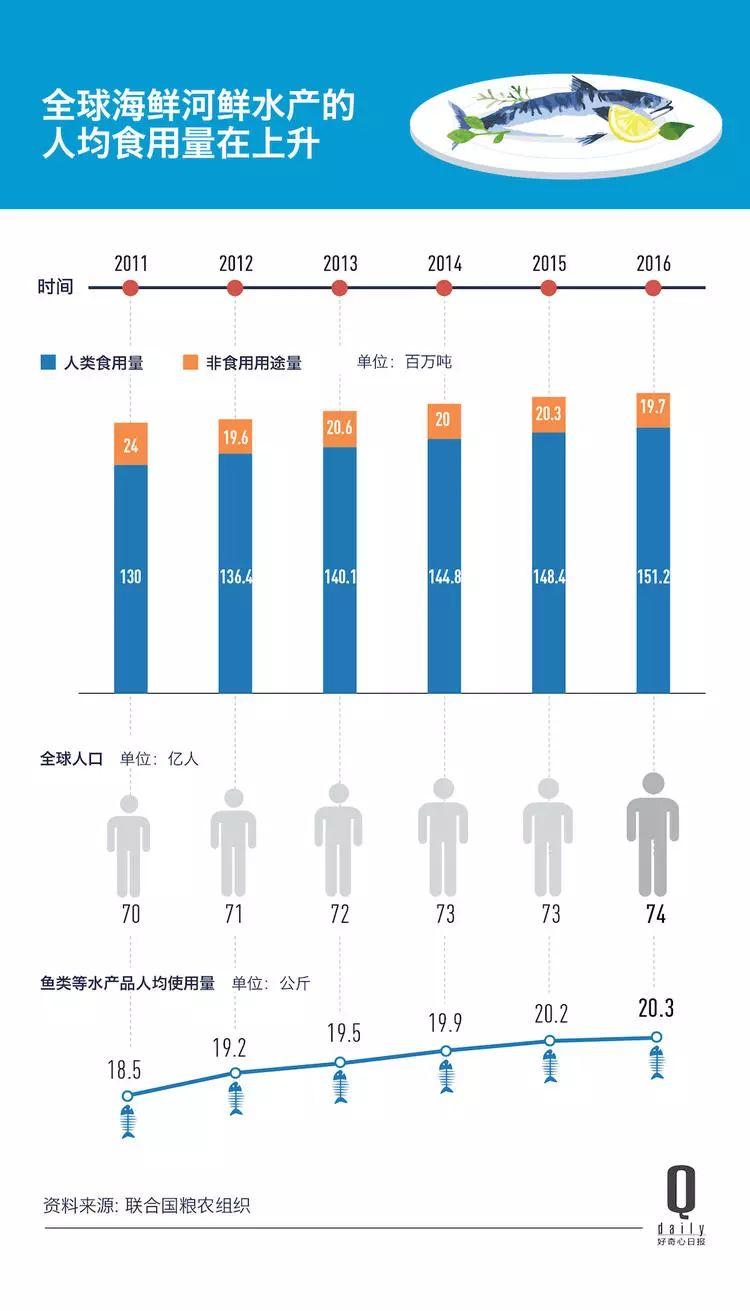 1/3 的魚類正被人過度捕撈，而同時撈上來的又有 1/3 被丟棄