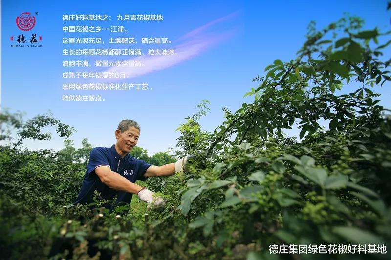 食品安全問題頻發(fā)，這家火鍋餐企憑啥突出重圍？