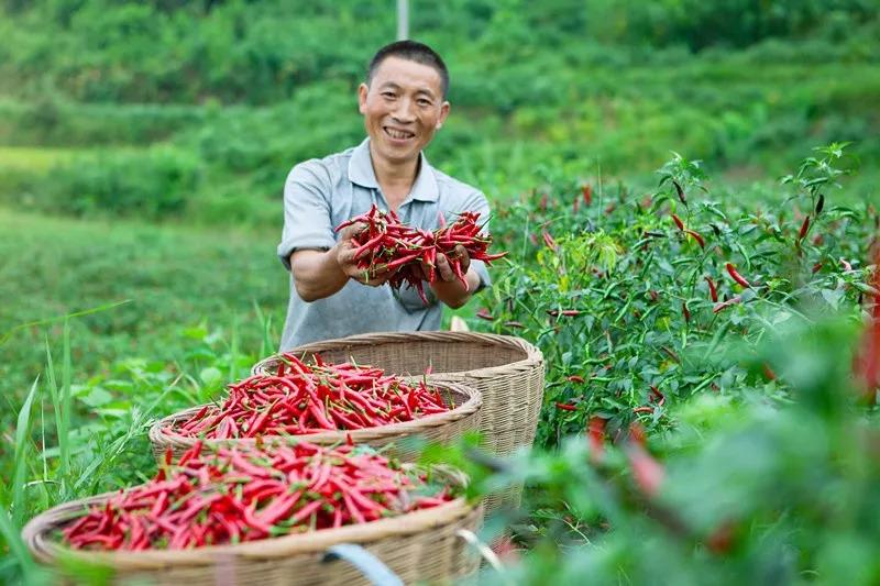 食品安全問題頻發(fā)，這家火鍋餐企憑啥突出重圍？